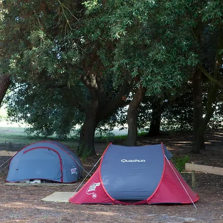 Domaine Du Collet**** Campsite Villeneuve-en-Retz